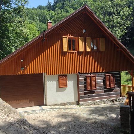 Chata Hokejka Rokytnice nad Jizerou Extérieur photo
