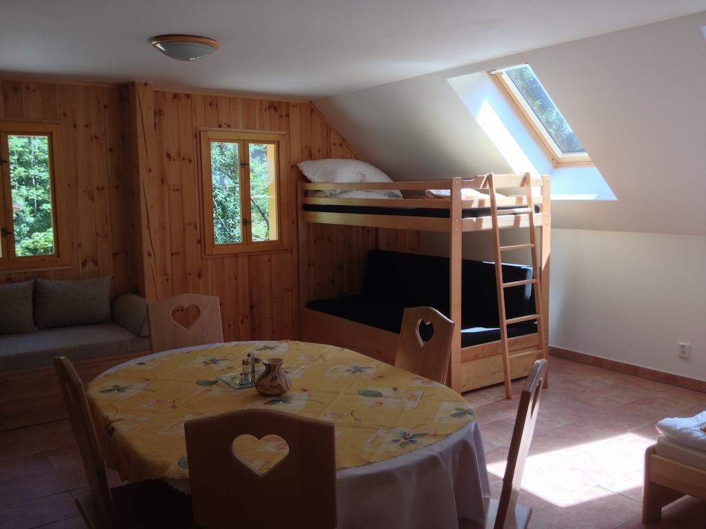 Chata Hokejka Rokytnice nad Jizerou Chambre photo