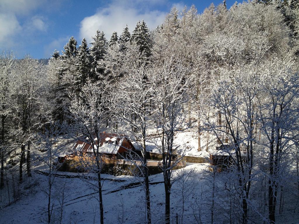 Chata Hokejka Rokytnice nad Jizerou Extérieur photo
