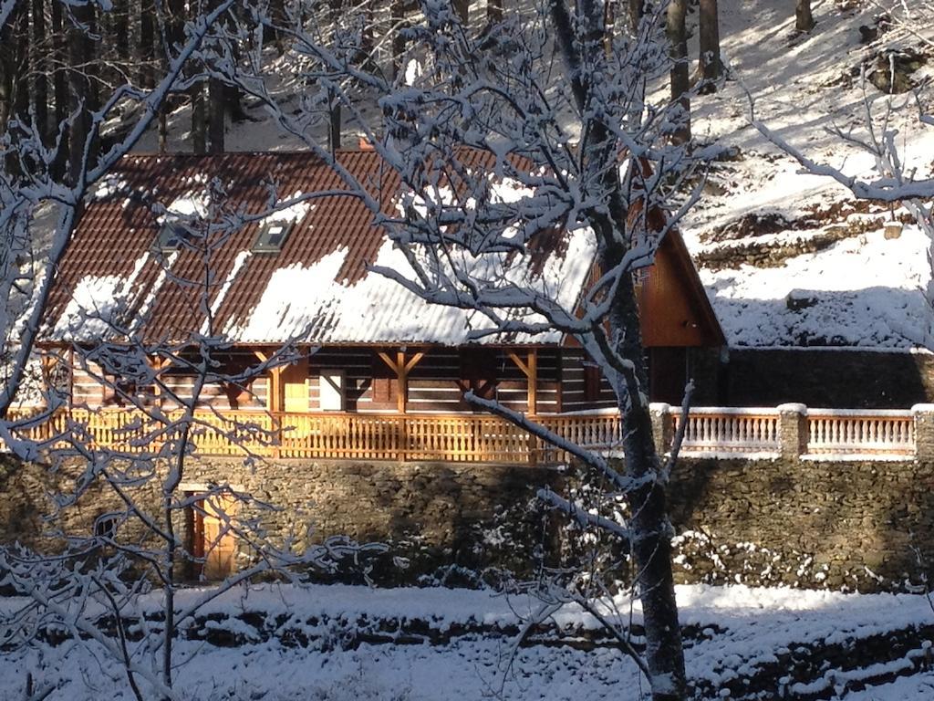 Chata Hokejka Rokytnice nad Jizerou Extérieur photo